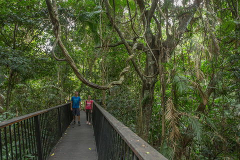 Barron Falls Lookout Track, Barron Gorge National Park - Attractions Brisbane 2