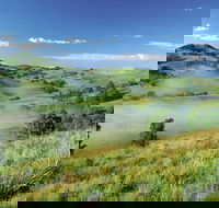 Bega - Attractions Brisbane