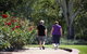 Benalla Botanical Gardens - thumb 1