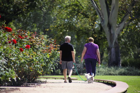 Benalla Botanical Gardens - Attractions Brisbane 1