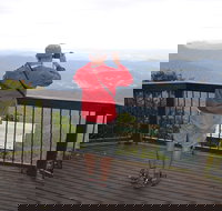 Best of All lookout track Springbrook National Park