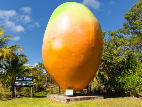 Big Mango - Attractions Brisbane 0