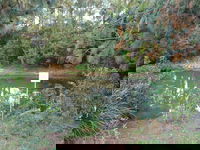 Birdwing Butterfly Walk