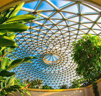 Brisbane Botanic Gardens Mount Coot-tha - Attractions Brisbane