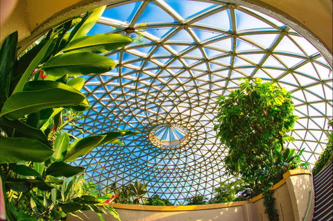 Brisbane Botanic Gardens Mount Coot-tha - Attractions Brisbane 0