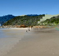 Broken Head Nature Reserve - Attractions Brisbane