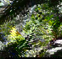 Byrrill Creek Walking Track - Attractions Brisbane
