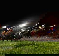 Canterbury Park Racecourse - Attractions Brisbane