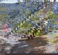 Caves circuit Lamington National Park - Attractions Brisbane