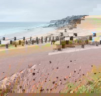 Coast to Vines Rail Trail - Attractions Brisbane