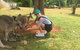 Cooberrie Park Wildlife Sanctuary - thumb 1