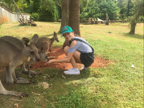 Cooberrie Park Wildlife Sanctuary - Attractions Brisbane 1