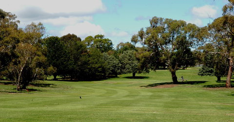 Cooma Golf Club - Attractions Brisbane 0
