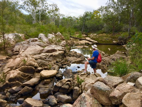 Crows Nest Falls - Attractions Brisbane 2