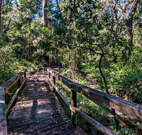 Dawson River Walking Track - Attractions Brisbane