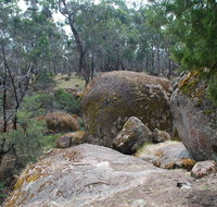 Dergholm State Park - Attractions Brisbane