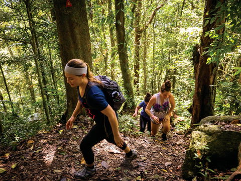 Devils Thumb (Manjal Jimalji) Trail - Attractions Brisbane 0