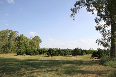 Dululu - Attractions Brisbane 1