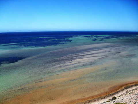 Eagle Bluff - Attractions Brisbane 2