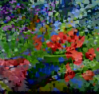 Ferry Artists Gallery - Attractions Brisbane