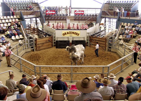 Gracemere Exhibition Complex - Attractions Brisbane 1