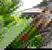 Gully Gardens - Attractions Brisbane
