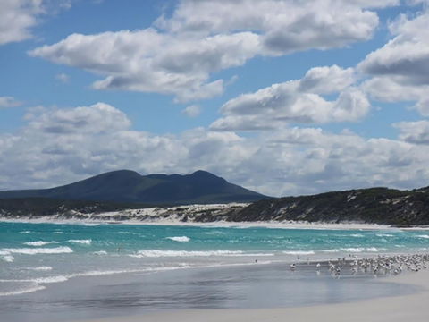 Hakea Walk Trail, East Fitzgerald National Park - Attractions Brisbane 0