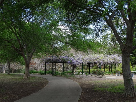 Hanna Park - Attractions Brisbane 1