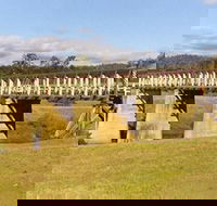 Historic Tabulam DeBurgh Timber Bridge - Attractions Brisbane