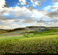 Hodgson Vale - Attractions Brisbane