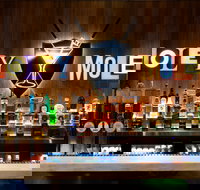 Holey Moley Wollongong - Attractions Brisbane