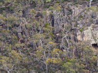 Horsnell Gully and Giles Conservation Parks