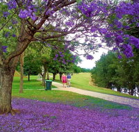 Howe Park - Attractions Brisbane