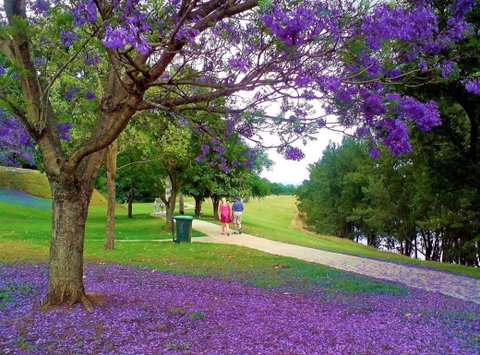 Howe Park - Attractions Brisbane 0