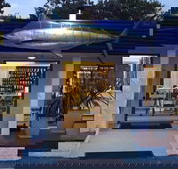 Iluka Bait and Tackle - Attractions Brisbane