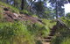 Ingleburn Reserve - thumb 2