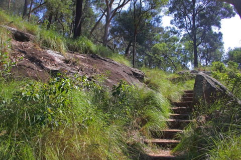 Ingleburn Reserve - Attractions Brisbane 2
