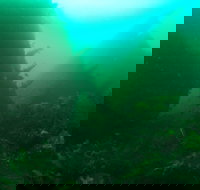 Investigator Strait Shipwreck Trail - Attractions Brisbane