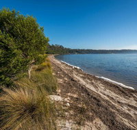 Jewfish Walk - Attractions Brisbane