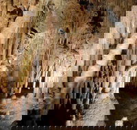 Jillabenan Cave - Attractions Brisbane