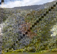 Kearneys Falls - Attractions Brisbane