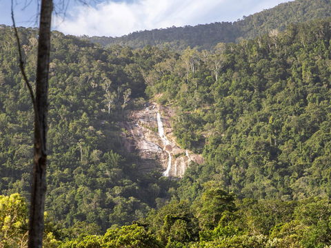 Kearneys Falls - Attractions Brisbane 0