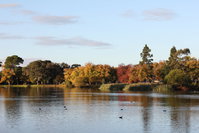Book Kennington Accommodation Vacations Attractions Brisbane Attractions Brisbane