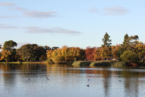 Lake Weeroona - Attractions Brisbane 0