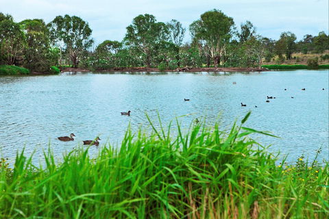 Lake Apex Park - Attractions Brisbane 1