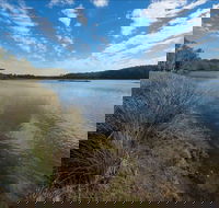 Lake Innes Nature Reserve - Attractions Brisbane