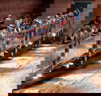 Lark Quarry Conservation Park - Attractions Brisbane