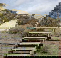 Lenger Reserve - Attractions Brisbane