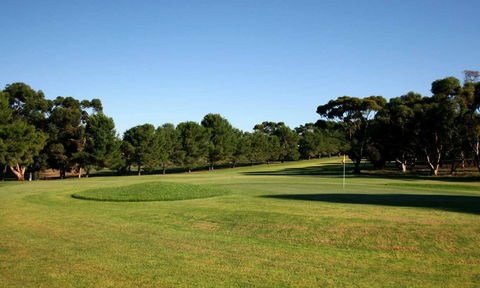 Mannum Golf Club - Attractions Brisbane 0