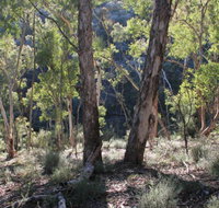 Mount Gray walking track - Attractions Brisbane